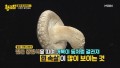 [황금알 꿀Tip] 표고버섯 제대로 고르는 법